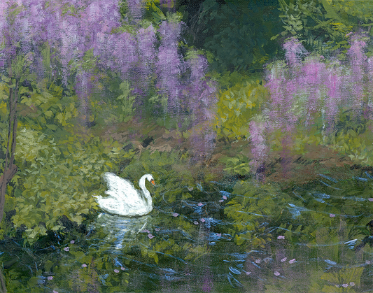 Swan in a pond surrounded by wisteria and greenery